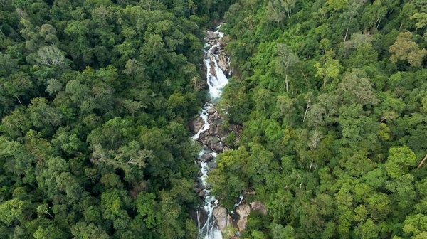10 Éléments Essentiels pour Tout Photographe : Optimisez Votre Matériel !
