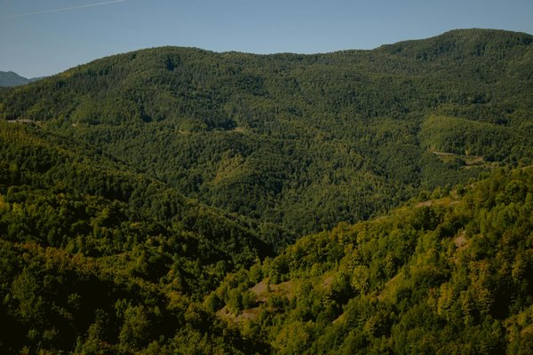 Tout savoir sur le téléphone rose et éviter les pièges