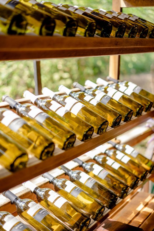 Découvrez les meilleurs vins en ligne chez domaine martin